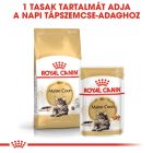 Royal Canin Maine Coon Wet 12*85g