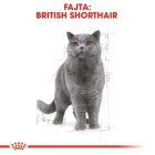 Royal Canin British Shorthair Wet 12*85g