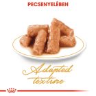 Royal Canin British Shorthair Wet 12*85g