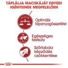 Royal Canin Fit32 10kg