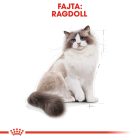 Royal Canin Ragdoll Adult 2kg