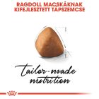 Royal Canin Ragdoll Adult 2kg