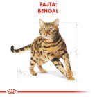 Royal Canin Bengal Adult 2kg