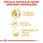 Royal Canin Bengal Adult 2kg