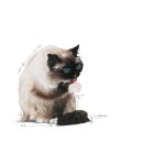 Royal Canin Hairball Care Wet 12*85g