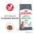 Royal Canin Digestive Care 10kg
