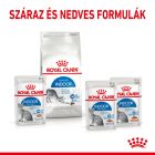 Royal Canin Indoor Sterilized Morsels in Gravy 12*85g