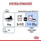 Royal Canin Indoor Sterilized Morsels in Gravy 12*85g