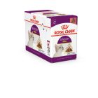 Royal Canin SENSORY™ SMELL Chunks in gravy 12*85g