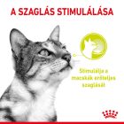 Royal Canin SENSORY™ SMELL Chunks in gravy 12*85g