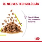 Royal Canin SENSORY™ SMELL Chunks in gravy 12*85g