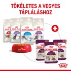 Royal Canin SENSORY™ SMELL Chunks in gravy 12*85g