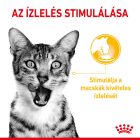 Royal Canin SENSORY™ TASTE Chunks in gravy 12*85g