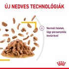 Royal Canin SENSORY™ TASTE Chunks in gravy 12*85g