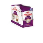 Royal Canin SENSORY™ TASTE Chunks in jelly 12*85g