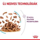 Royal Canin SENSORY™ FEEL Morsels in gravy 12*85g