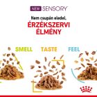 Royal Canin SENSORY™ SMELL Chunks in jelly 12*85g