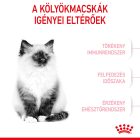 Royal Canin Kitten 1,2kg