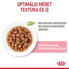 Royal Canin Kitten Chunks in gravy 12*85g