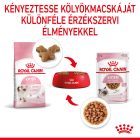 Royal Canin Kitten Chunks in gravy 12*85g