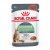 Royal Canin Digestive Care Wet 12*85g