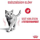 Royal Canin Light Weight Care 12*85g