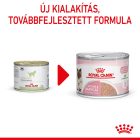 Royal Canin Mother&BabyCat Ultra Soft Mousse 12*195g