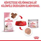 Royal Canin Mother&BabyCat Ultra Soft Mousse 12*195g