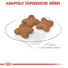 Royal Canin Mini Adult 2kg