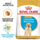 Royal Canin Labrador Retriever Puppy 12kg