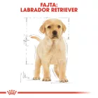 Royal Canin Labrador Retriever Puppy 12kg