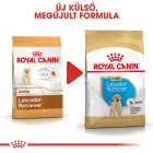 Royal Canin Labrador Retriever Puppy 12kg