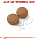 Royal Canin Maxi Adult  4kg