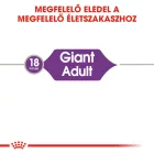 Royal Canin Giant Adult 4kg