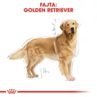 Royal Canin Golden Retriever Adult 12kg
