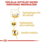 Royal Canin Golden Retriever Adult 12kg