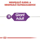 Royal Canin Giant Adult 15kg