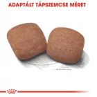 Royal Canin Giant Adult 15kg