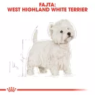 Royal Canin West Highland White Terrier Adult 1,5kg