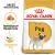 Royal Canin Pug Adult 1,5kg