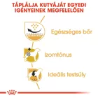 Royal Canin Pug Adult 1,5kg