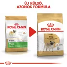 Royal Canin Pug Adult 1,5kg
