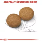 Royal Canin Medium Adult 15kg