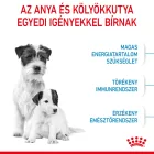 Royal Canin Mini STARTER Mother & Babydog 1kg