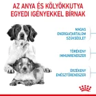 Royal canin Medium Starter Mother & Babydog 1kg