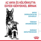 Royal Canin Maxi Starter Mother & Babydog 4kg