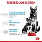 Royal Canin Maxi Starter Mother & Babydog 4kg