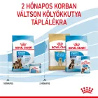 Royal Canin Maxi Starter Mother & Babydog 15kg