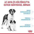 Royal Canin Giant Starter Mother & Babydog 15kg