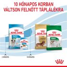 Royal Canin Mini Puppy 4kg
